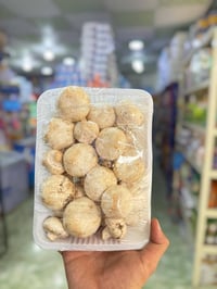 بسم الله وعلى بركة الله  توفر  فطر جديد مال ديره 😋🍄‍🟫 تتوفر خدمة توصيل...