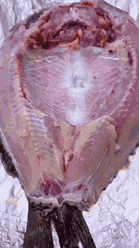 مسكوف البغدادي  🩷
اطلب الأن ***********
🐟 مسكوفنا غير.. ..سمچ مشوي عالطريقة البغدادية 
سمك مقلي.. زوري مقلي....دجاج حي مشوي ع الفحم 

✔️ عدنه دجاج حي عراقي كل اوزان ٣٧٥٠
سمك فرش تازه خشن حي وناعم ومسكوف ومقلي
سمك زوري خشن ٥٥٠٠ ومقلي 
صدر مسحب 7 خبز بيت حار لبن عرب 
كبه جريش وحلب لحم عراقي 
دهن حر 

📍 يتوفر خدمة التوصيل 🛵🛵
للطلب مراسله الصفحه او الرقم 
***********
