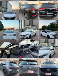 اقساط • دفعات اولى • اربيل