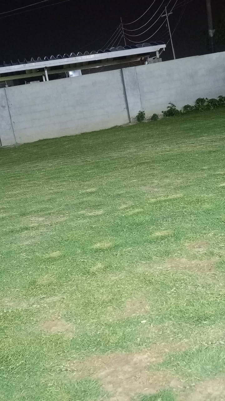 سلام عليكم ورحمه الله وبركاته يوجد مكينه حلاق حديق في عزيزبلد مدخل 6 اليريد يتصل هاذ الرقم ***********

