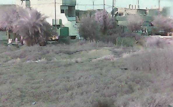 متاح كمره تصوير ليلي ونهاري فلاش تنربط عل مبايل  مكرفون تحجي  من خلال الجهاز  تتحكم بل حركه من الجهاز  خزن ويعده من المبايل
السعر 15


**إذا كنت صاحب هذا الإعلان وتريد حذفه لأي سبب، رجاءا أرسل رسالة إلى الدعم الفني**