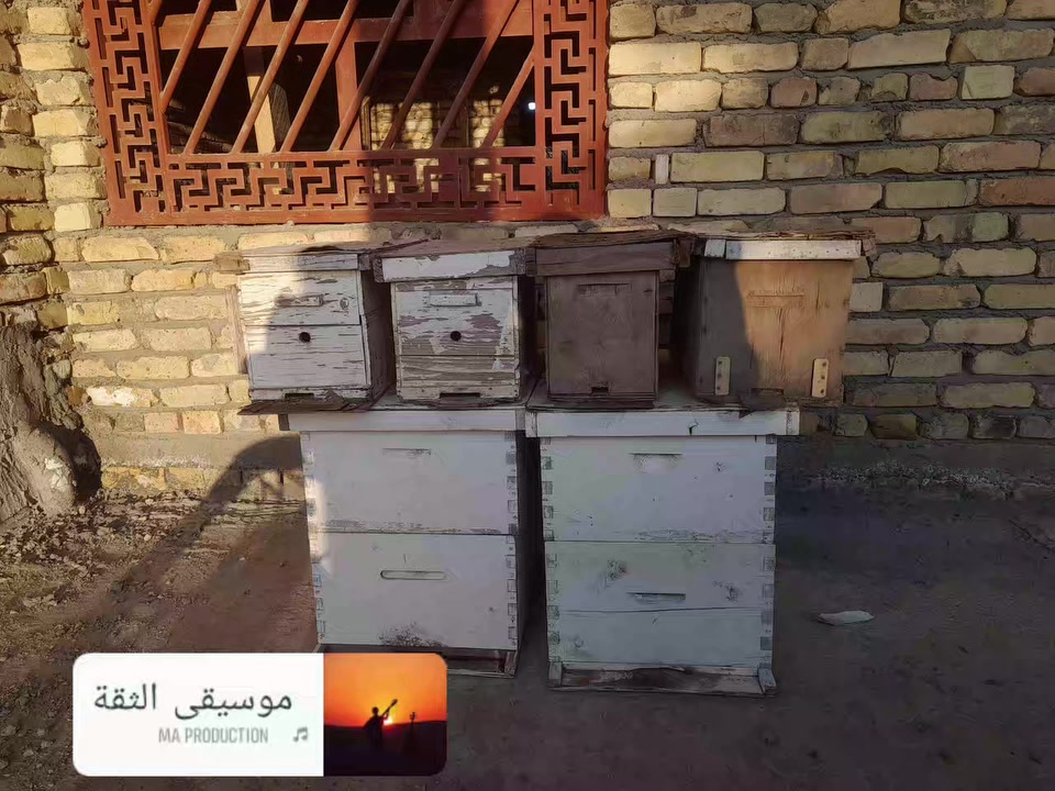 السلام عليكم
مرخصت مدير الگروب متاح 4 طرود وخليتين وطابقين
السع. ر خاص متواجد وتساب انتصال ***********

مستخدم
