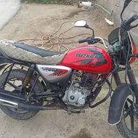 بوكسر • فحل • ٢٠٢٢