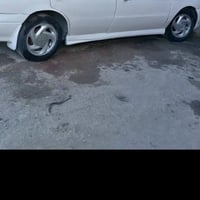 جنط كيا • كوشوك وكالة • نص عمر