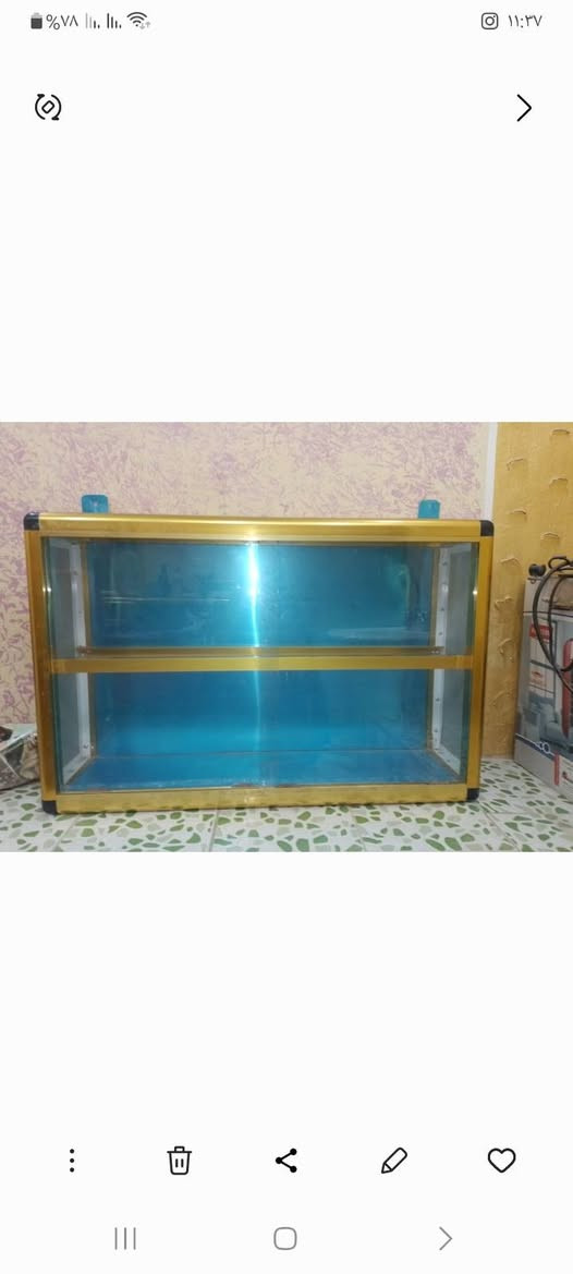 جديدة عمارة, ميسان


**إذا كنت صاحب هذا الإعلان وتريد حذفه لأي سبب، رجاءا أرسل رسالة إلى الدعم الفني**