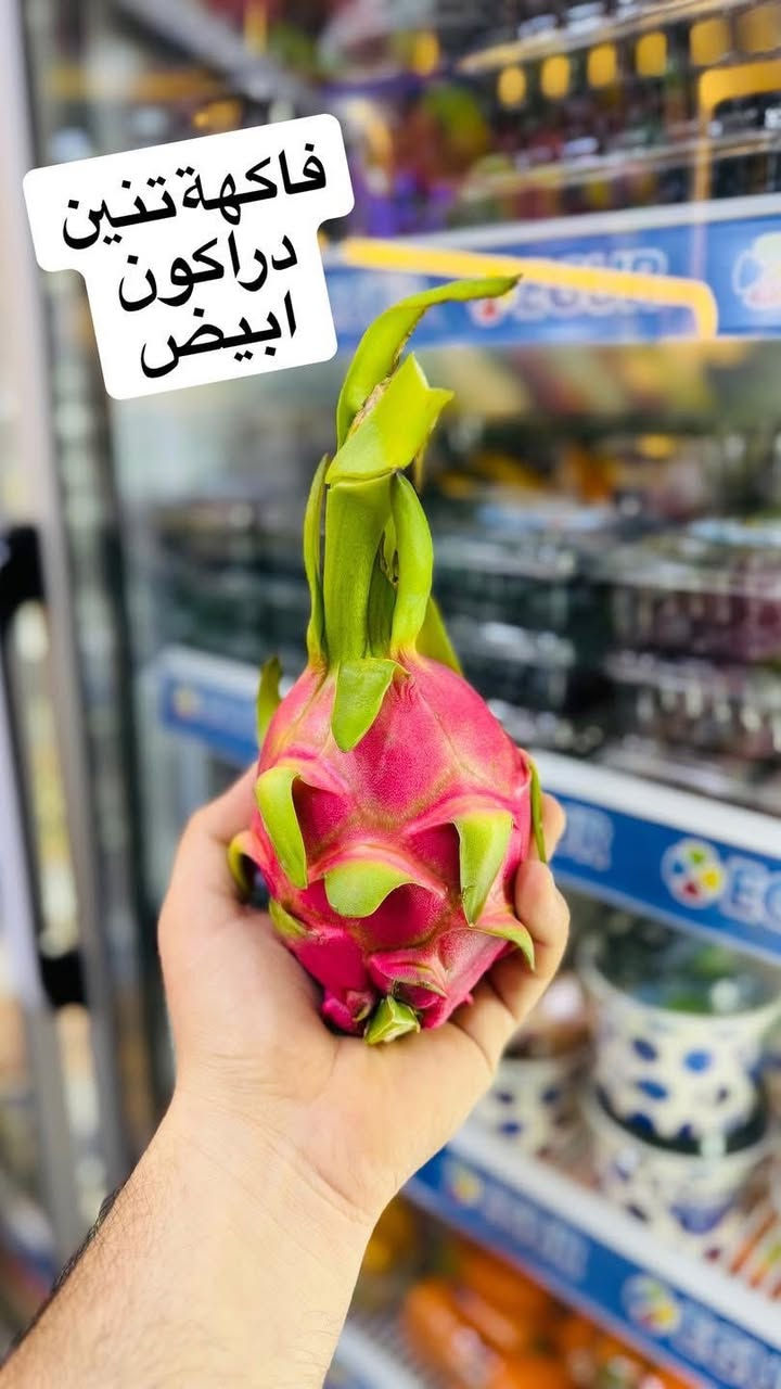 اللهم صل على محمد وال محمد  
 
أسعار المخضر والفواكة بتاريخ23/6/2026
المصادف يوم الخميس 

زنجبيل 5000
افوكادو 6000
عرموط 3000
عرموط عراقي صيفي 2000
فراولة العلبة 2000 
بروكلي 4000
رمان أفريقي درجة اولى 4000
 خس ايراني 1000
خس صيني وأمريكي 1500
بأكلة مفلسة 3000
بزاليا مفلسة 4000
بطاطا حمراء 1000
بطاطا 750
باذنجان اسود 750
طماطة 500
خيار 750
لوبيا 2000
بانية 2000
ركي 500
بطيخ 750
بطيخ جنة سوري 1000
كرز كيلو 5000
شمام 1000
بصل اخضر 1500
بصل 750
كيوي كيلوات 3000
كيوي مزدوج كيلو 2000
كيوي علبة ب 1000
منجا 5000
الو عراقي كيلو 
خوخ صوفي ومسكي 2000
خوخ كعكي صوفي و مسكي 2000
الو احمر جوهرة 2000
لنك الدنيا علبة 4000
عنب حلواني وابيض وزيتوني 4000
كوجه خضراء 6000
بيتنجان مكدوس 2000
ذرة حلوة جاهزة لأكل القطعة 1000
ذرة حلوة إيرانية كيلو 1500
شجر 1000
خيار عطروزي 1000
فلفل ألوان 3000
فلفل بارد1500
فلفل حلزوني 2000
فلفل حلزوني احمر عراقي 1000
فلفل حار ناعم 1500
برتقال مصري برتقال ابو الصرة 1500
لالنكي أفريقي 2000
حامض أفريقي 3000
كريب فوت 
موز 2000
تفاح إيراني احمر واصفر ب 1500
تفاح احمر وأخضر ب 2500
تفاح عراقي 1000
جزر 1000
فاصوليا خضراء 3000
مشمش إيراني عسل 3000
مشمش اردني 2500
مشمش سوري 2500
قرنابيط ب 1500
لهانة حمراء وبيضة 1000
شونذر عراقي 1000
خضروات الشمال / سبيناخ سلك / شبنت كرفس كراث ريحان / معدنوس نعناع جرجير بربين فجل احمر

📍 العنوان:
الصويرة شارع النجمة مجاور صيدلية الزعيم مقابيل ذوق

📞 للتواصل:
إبراهيم الشرطي 
***********
***********
محمد الشرطي  

‭***********
***********
 يوسف الشفت المسائي 
***********

✅ يتوفر واتساب ومراسلة الصفحة متواجد من الساعة سابعة صباحاً حتى ساعة ثانية عشر ليلاً 
اهلاً وسهلاً بيكم
