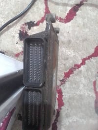 سلف ياباني • بيجو روى • عقل بيجو أصلي