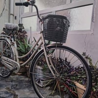 يابني أصلي • ٢٧ تاير • منطقة ٥٥