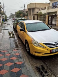 سوناته ٢٠١١ • وارد امريكي • دواخل جلد