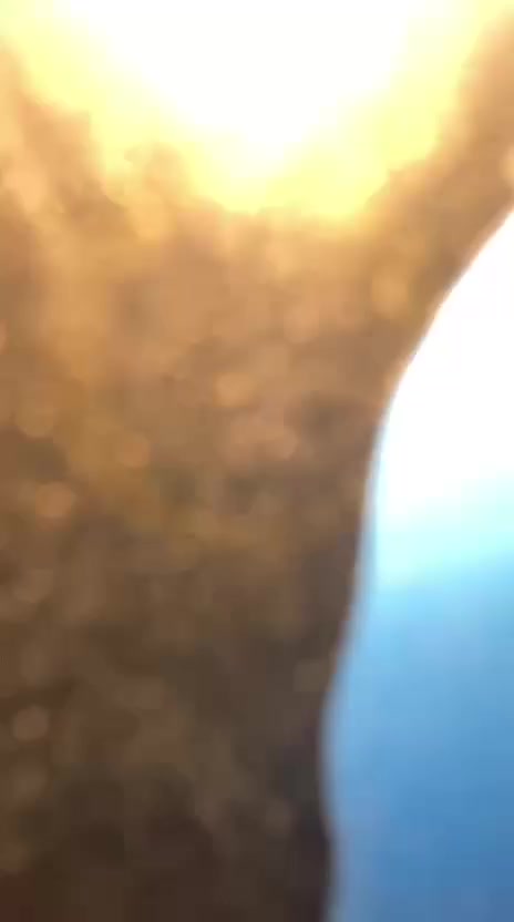 سلام عليكم ماكس عدله للبيع دراجه حلوه ونضيفه بوشه 55مابيه اي نقص سعر 300وبيه مجال لطيبين مكاني ابو غريب  ‏‪***********‬‏
