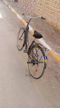 باسكل ٢٧ • نضيف • ما مصبوغ