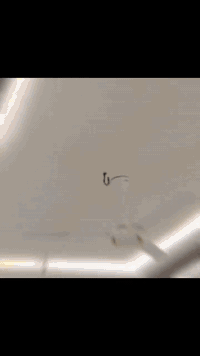 خدمات • للاستفسار • تفاصيل ناقصة