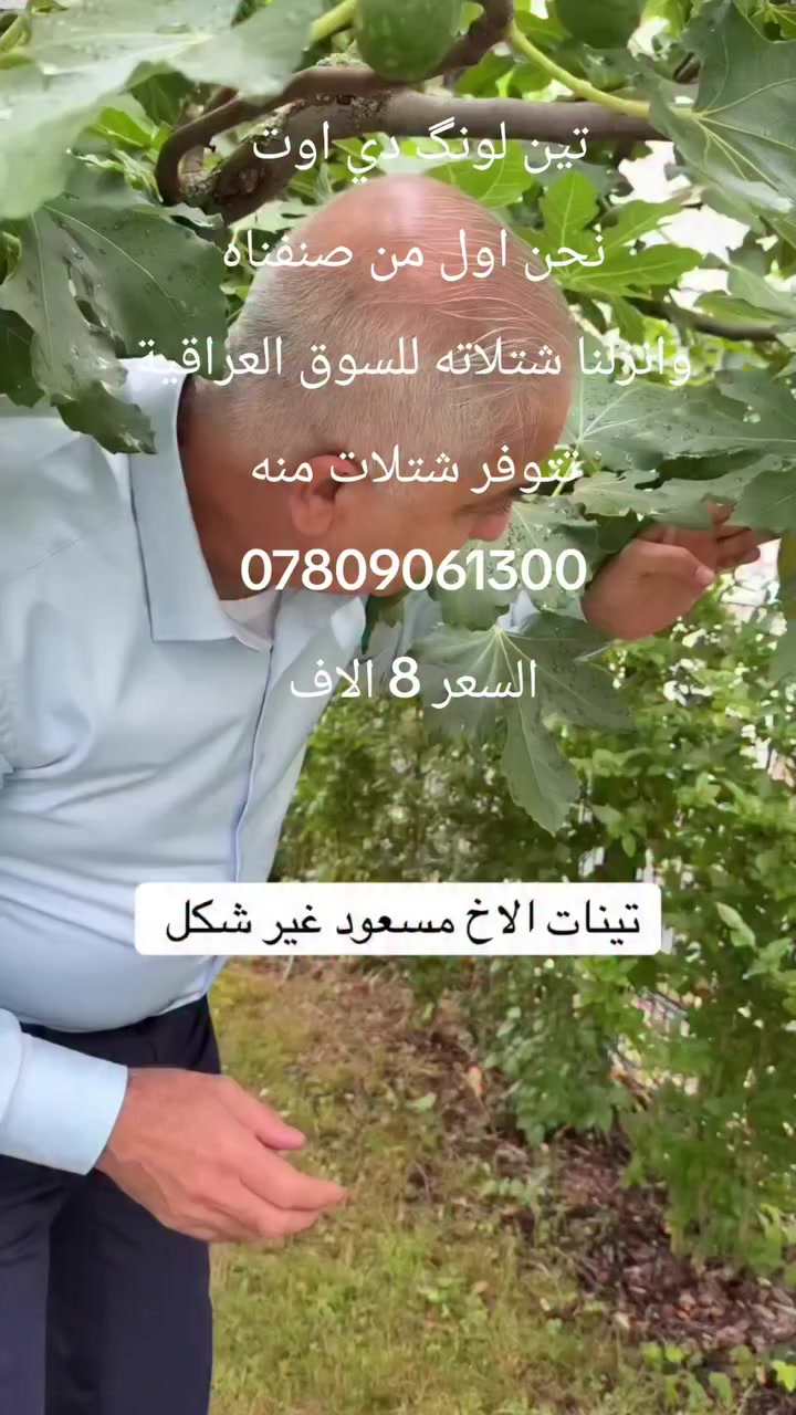 بسم الله الرحمن الرحيم 
تتوفر شتلات من تين لونگ دي اوت المميز والنادر والذي يتميز بكبر حجم الثمار وحلاوة طعمه 
سعر المفرد 8 الاف 
للطلب ***********
سليمانية ويوجد توصيل لجميع المحافظات
