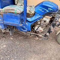 ستوتة دولفين • موديل 19 • بغداد بيوسفية