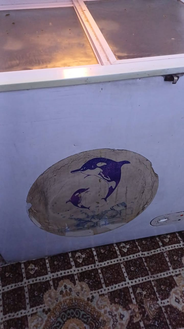 #للبيع مجمده ال جي تجميد فول ٨قدم #بغداد


**إذا كنت صاحب هذا الإعلان وتريد حذفه لأي سبب، رجاءا أرسل رسالة إلى الدعم الفني**