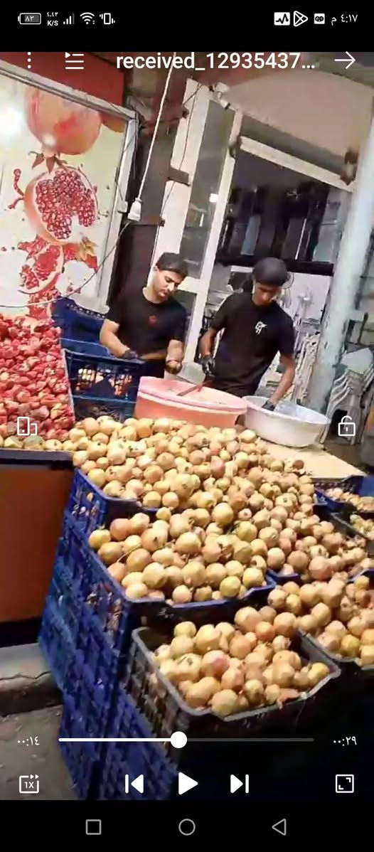 الي محتاج خلفه داطلي وعصائر طبيعيه اني فارغ بشرط هاذي الطريقه الصحيحه مو هذيج الشيشه ام الغطاس ام الصبغ   هاي الخبره قليل متواجده المهم الي محتاج ***********
