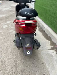 بريز بغبغاء للبيع مكفوله كفاله عامه كفرات مختمه السعر 950 وبيهه مجال ا...