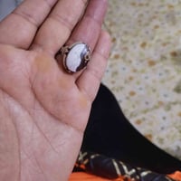 محبس • مصور • مرتب
