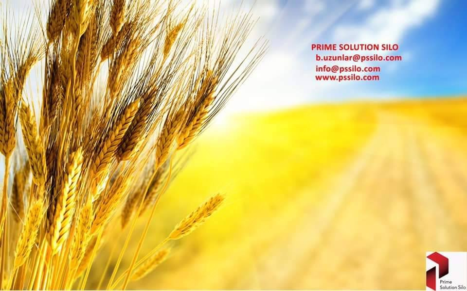 بمناسبة دخول العام الجديد 2026 جعلها الله عام خير وبركة وسعادة على جميع أهلنا في العراق والوطن العربي تتقدم شركتنا شركة PS SILO التركية لإنتاج الصوامع والسايلوات ومعامل الاعلاف بمختلف انواعها وانتاجياتها وبمواصفات عالمية وأسعار موسمية وتنافسية بتخفيضات كبيرة مع تقديم خدماتها المستمرة للاستفسار الاتصال على الأرقام التالية 
***********
***********
