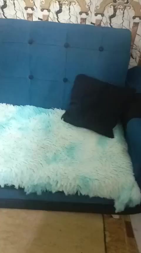 للبيع قيم واخذ تخم ١٠ مقاعد ومعرض


**إذا كنت صاحب هذا الإعلان وتريد حذفه لأي سبب، رجاءا أرسل رسالة إلى الدعم الفني**