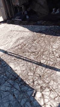 خدمات المتوكل لغسل الزوالي ولمحافير #للحجز يرجى الاتصال على الارقام #ا...