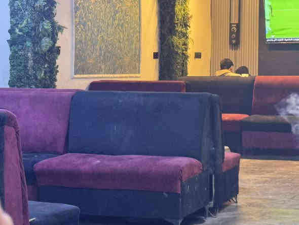 ٢٠ قنفه او تخم للبيع مال كهوه سعر القطعه ٣٠ الف بغداد الشعب ***********
