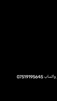 كوشات أعراس • ديكور فاخر • الطارمية المشاهده