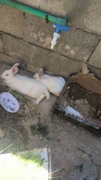 للبيع • معلومات ناقصة