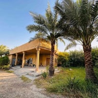 بستان 2 دونم (ملك صرف) مع بيت 300 م متوفر جميع أنواع الفواكه والنخيل ا...