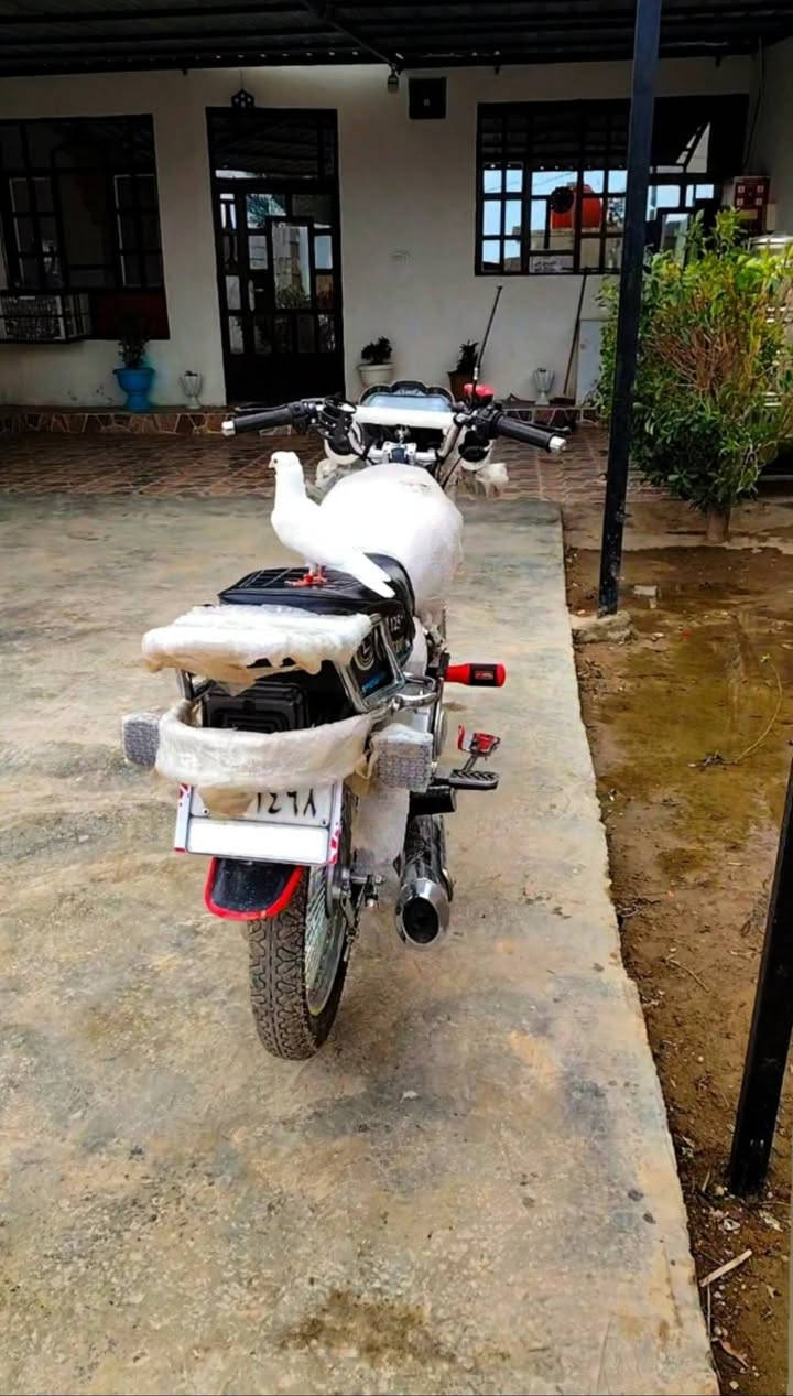 سلام عليكم دراجةتايكر 2025
للبيع السعر 750 بيهة مجال مكاني ديالى كنعان 
شراي اتصل وادلل ***********
