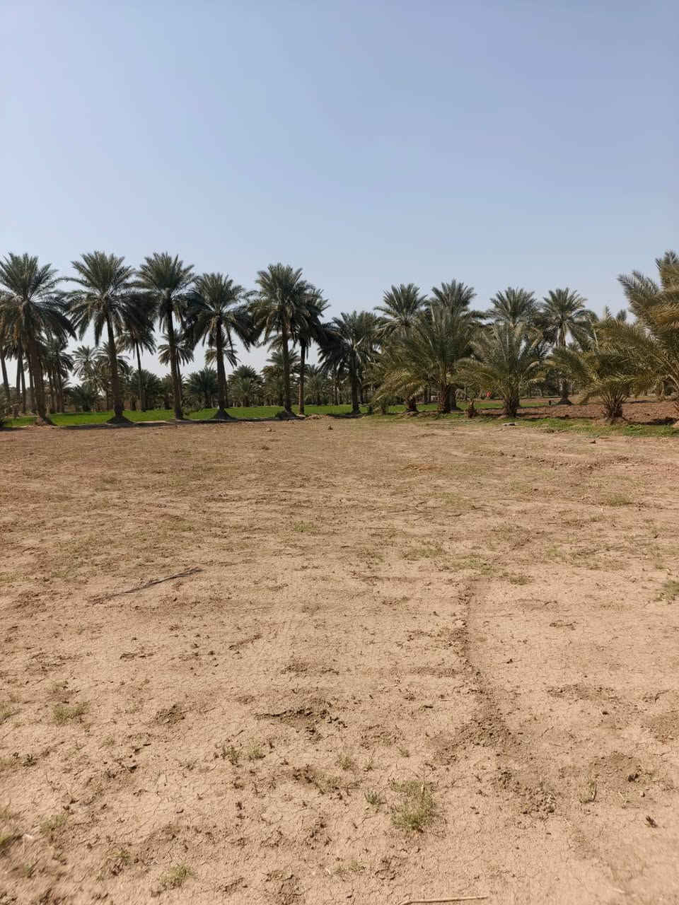 دونم للبيع طابو زراعي سند ٢٥خلف نزله ربع إبراهيم داخل المنطقه مزود ويخبل
الاستفسار أكثر الاتصال ع الأرقام التاليه
***********
***********
