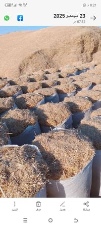 يوجد تبن حنطه مال دراسه جديد مال سنه حجم الجيس 55 واصل البيتك اتصل ودل...