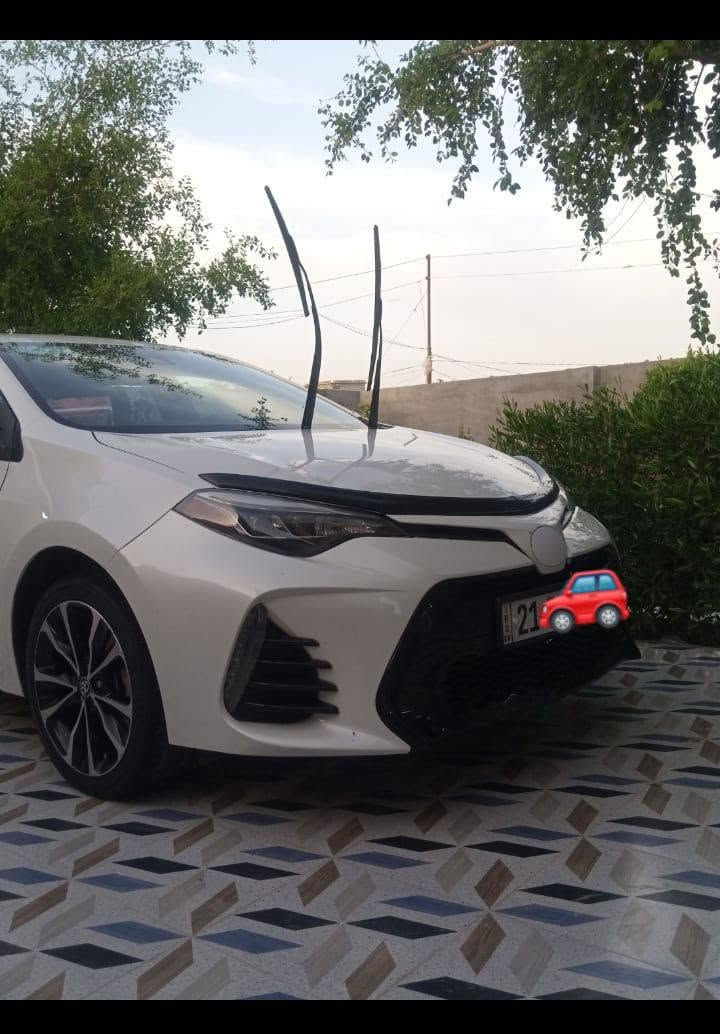 السلام عليكم كورلا٢٠١٩ وارد أمريكي أبيض صدفي رقم سليمانيه بسمي بدون ظرر بس دعاميه اماميه السعر 170،،، ورقه مكان السياره ديالى بعقوبه ***********
