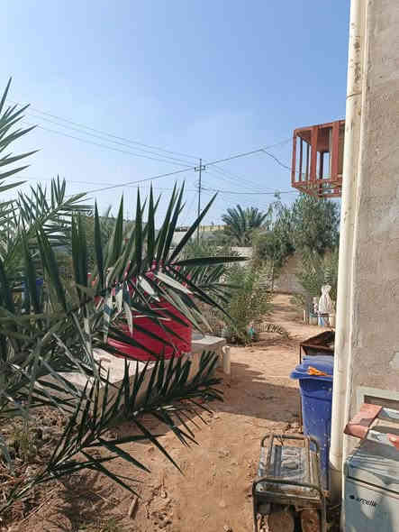 أسلام عليكم ورحمة ألله وبركاته🌹
الاستفسار : ***********

توفر أرض مع دار سكن طابقين 🏭
سنة البناء 2023
ألمساحه الكليه 600م
ركن على شارعين
كل شارع 10م
جميع لخدمات متوفره
على نهر جاري قريب على شط لعرب
يبعد مسافه 100م عن شط لعرب رئيسي

أرض حلو مرتبه مزروعه أنواع نخيل
محتويات البيت ⬇️
بستان + كراج
دوانيه
صالتين
غرف نوم عدد 6 نضام سويت
مطبخ حار بارد
صحيات خارجي وداخلي

نوع العقار : طابو زراعي ملك صرف عراقي سند 25
العنوان : البصرة محيله

السعر : 300وبي مجال
الاستفسار : ***********
