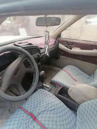 شيزر • بدون راعي • البصره القرنه