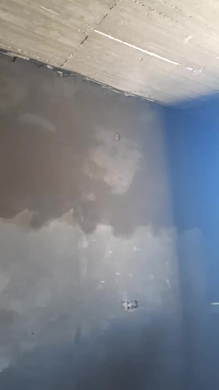 ***********مسلم الباخ
