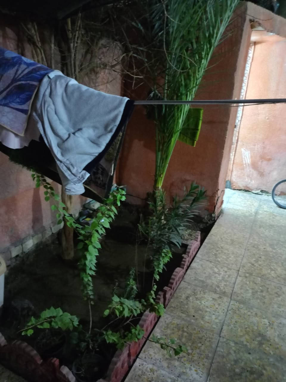 السلام عليكم بيت مساحته 120 واقع حال تجاوز بام الكبر قرب علوه زويني شارع خدمي تبليطي كهرباء مجاري بيت كامل ومكمل مسلح بيع مستعجل واستفسار على هذا الرقم بيع 35 ...***********
