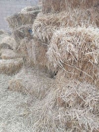 كبس تبن للبيع ازوج ٥٠٠٠ وبي مجال للاستفسار الهاتف. 07837238962