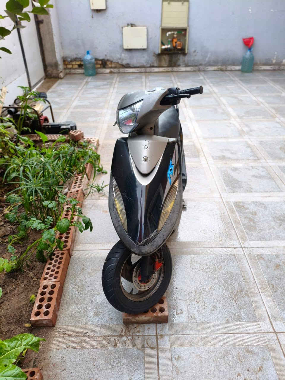 ماكس عدله ياباني 120
دراجه (كفاله عامه من كلشي) 
كفرات بلادي ختم واحد 
 فوول ملاح علا وضع الرمبه 
كامله من كلشي  كهربائيات  هندر اشاير سكنات عدادات ما بيه اي نقص عينه لونين 
شراي يتصل 
واتساب 
***********
المكان
    بصرة----تنومة
