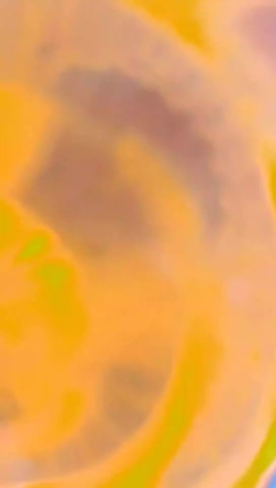 ‏‪***********‬‏
