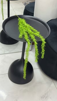 غصن واحد • توصيل مجاناً