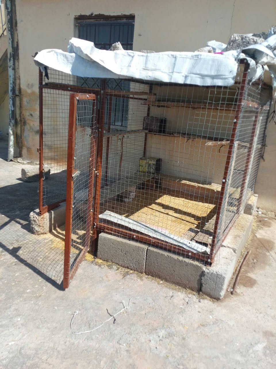 قفص للبيع السعر 120 وبي مجال


**إذا كنت صاحب هذا الإعلان وتريد حذفه لأي سبب، رجاءا أرسل رسالة إلى الدعم الفني**