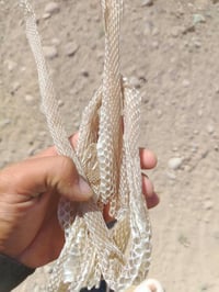 جلد حيه لبيع الي فيده يتصال او خاص 07813565238 اكو توصيل دخل بلد