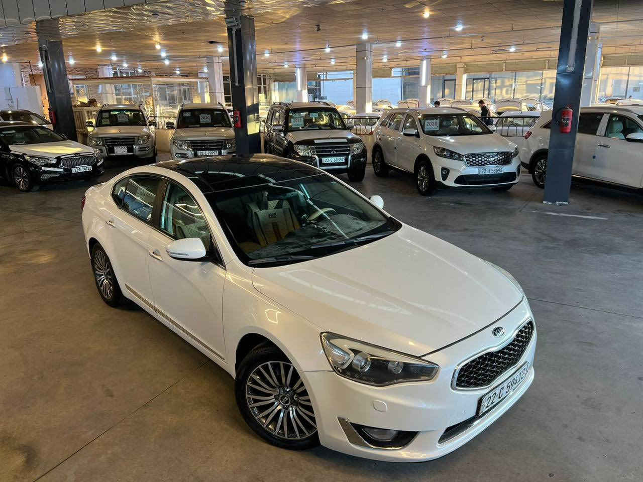 السلام عليكم
كيا كادنزا 2014 VIP خليجيه 
ماشاء الله احلى  من الصور مكفولة السياره من الضربه والصبغ بيهه BDR على گد شبر بالجاملغ و3 رصعات جانبيات .. گير مكفول ومحرك مبدل گازگيت فقط مامفتوح نهائياً سنوية وهزة وارقام جديدات بأسمي 
مكاني البلديات 
 السعر 155 وبيهه مجال بسيط 
***********
