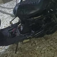 فراشة حربي • شلعة • معدل