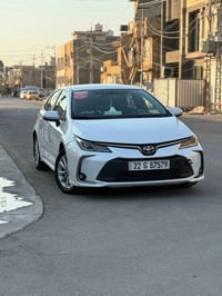 كورلا ٢٠٢٣ • رقم اربيل • زنون
