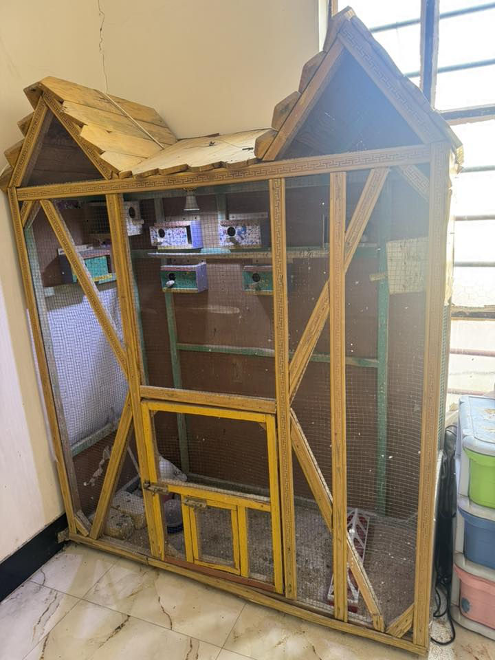 قفص طيور للأستفسار 

‭٠٧٨٢ ٧٧٢ ٤٨٣٣‬
