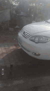 بيوادي مديل 2010مكفوله من ضربه ومن تبديل مصبوغه حزام جماليه محرك مكفول...