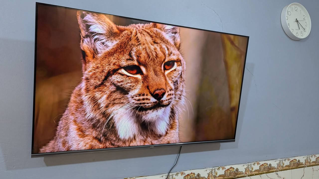 مواصفات شاشة UNEVA موديل 50Q-Class/MFT2S2O2:
المواصفات الأساسية:

الحجم: 50 بوصة.

الدقة: 4K UHD (3840 × 2160 بكسل).

نوع الشاشة: QLED مع إضاءة خلفية (Backlighting) وتصميم بدون إطار (Frameless).

نظام التشغيل: تعمل بنظام Android 11 الذكي. [1, 2, 3, 4]

الأداء والذاكرة:

المعالج: وحدة معالجة مركزية Cortex A53 رباعية النواة.

الذاكرة العشوائية (RAM): 1 جيجابايت.

ذاكرة التخزين: 8 جيجابايت. [1, 2, 3]

المنافذ والاتصال:

المنافذ: تحتوي عادةً على 3 مداخل HDMI ومدخلين USB.

الشبكة: تدعم الاتصال اللاسلكي Wi-Fi وبلوتوث مدمج.

المستقبل: تحتوي على رسيفر داخلي يدعم (DVB-T2/S2) للقنوات الأرضية والفضائية. [1, 2, 3]

الصوت والمميزات الإضافية:

الصوت: تدعم تقنية Dolby Audio لصوت محيطي.

التطبيقات: تدعم تشغيل تطبيقات مثل YouTube، Netflix، وShahid.

استهلاك الطاقة: 145 واط (كما هو موضح في ملصق الصورة المرفقة).

ميزات أخرى: دعم المساعد الصوتي Google Assistant وخاصية E-share لربط الهاتف بالشاشة. [1, 2] سعر350 مكاني بغداد وره سيطرت الشعب


**إذا كنت صاحب هذا الإعلان وتريد حذفه لأي سبب، رجاءا أرسل رسالة إلى الدعم الفني**