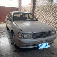 بطة منفصل • لؤلؤي • ٩٧